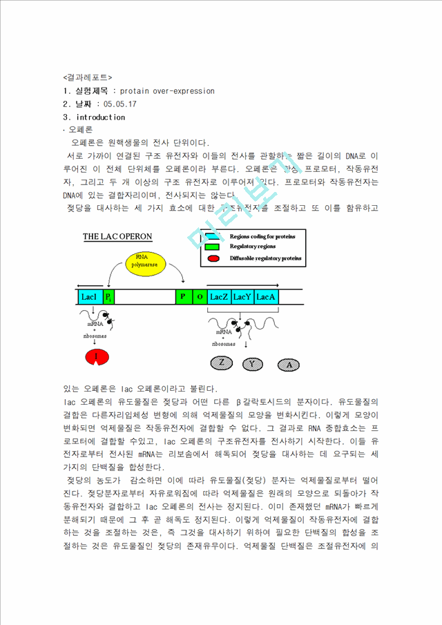 protain over-expression   (1 )